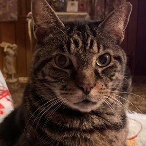 Meet your Posher, Vicki